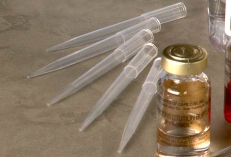 Precision Pipette Tips